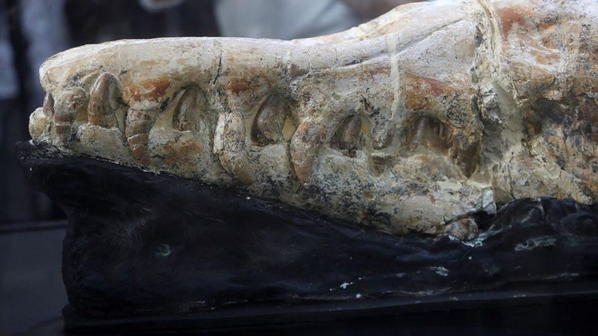 Çöllerin Ortasında Bulunan 