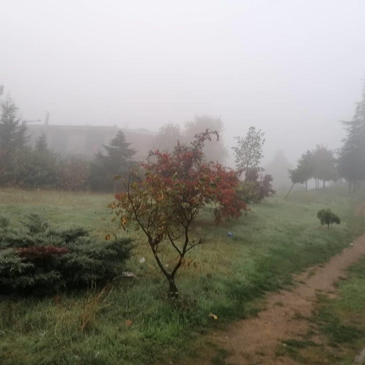 İstanbul’daki Sisli Günde Takipçilerimizden Gelen Kareleri Derledik