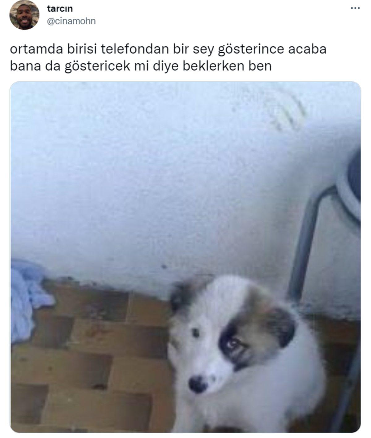 Canı Sıkılanlar Buraya: Bu Haftanın Gözden Kaçırılmaması Gereken En Komik 30 Tweet’i