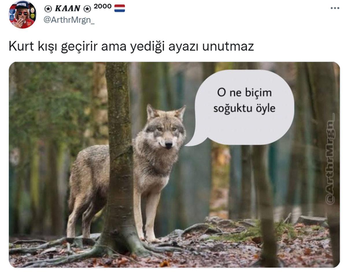 Canı Sıkılanlar Buraya: Bu Haftanın Gözden Kaçırılmaması Gereken En Komik 30 Tweet’i