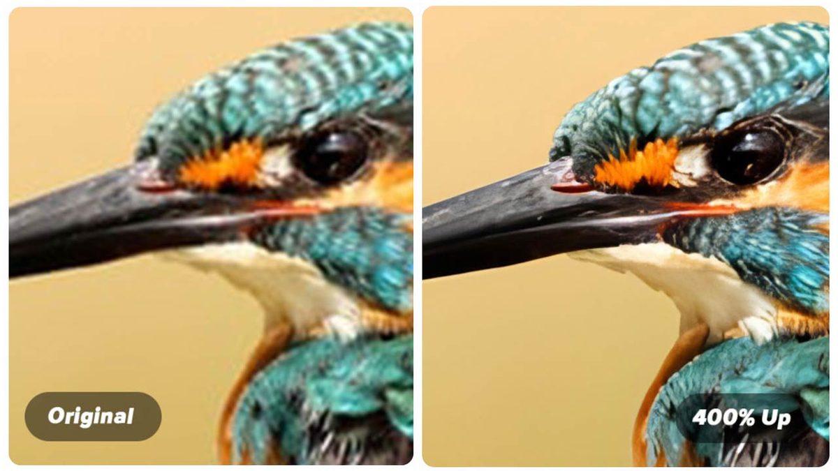 Fotoğraf Kalitesini %800’e Kadar Arttıran Ücretsiz Yazılım Teknolojisi: Image Enlarger