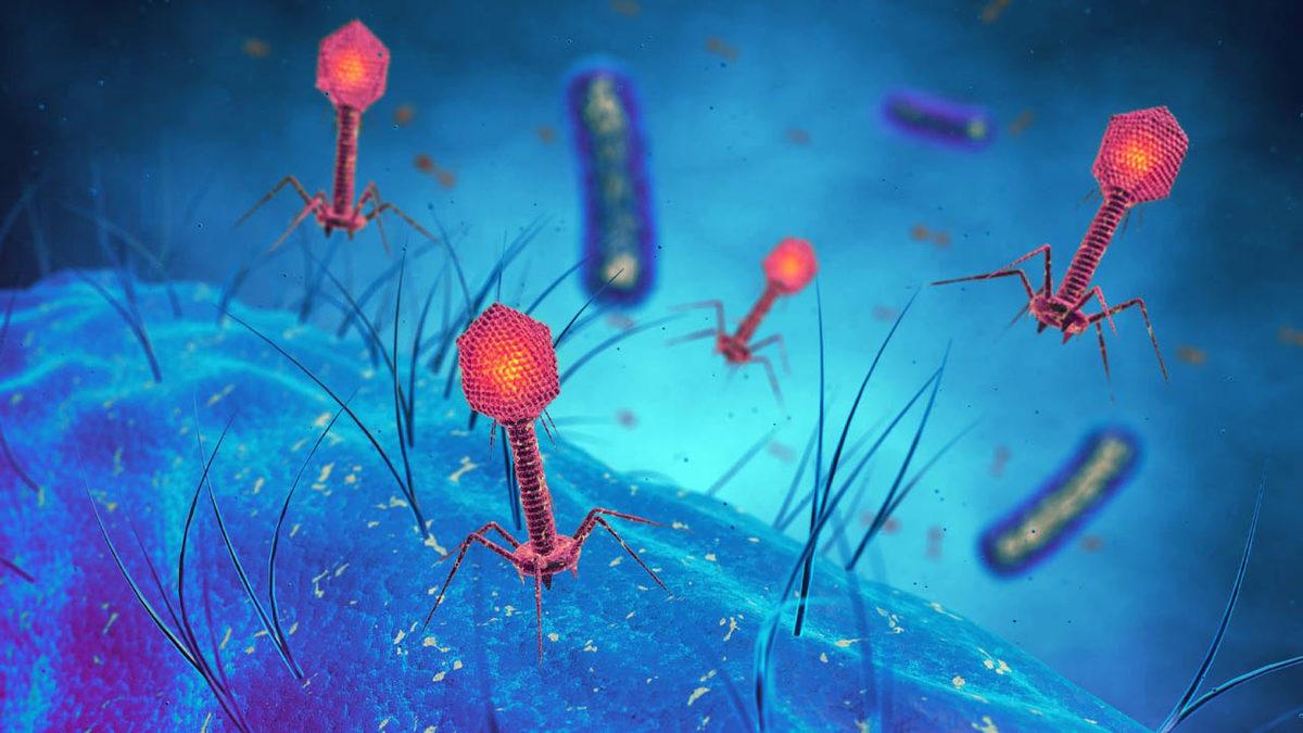 Tarihi Başarı: Bir Kişi Daha Tedavi ile HIV’den Kalıcı Olarak Kurtuldu