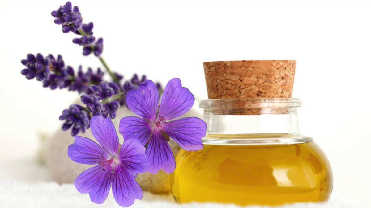 Bundan Tam 2500 Yıl Önce Bile Sağlık Alanında Kullanılan Doğa Harikası Bitki: Lavanta Yağının Bilime Göre 11 Faydası