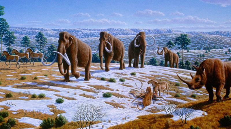 Dünya’nın 24 Bin Yıllık Sıcaklık Tablosu Çıkarıldı: Bu Kadar Şiddetli Bir Küresel Isınma Hiç Görülmemiş