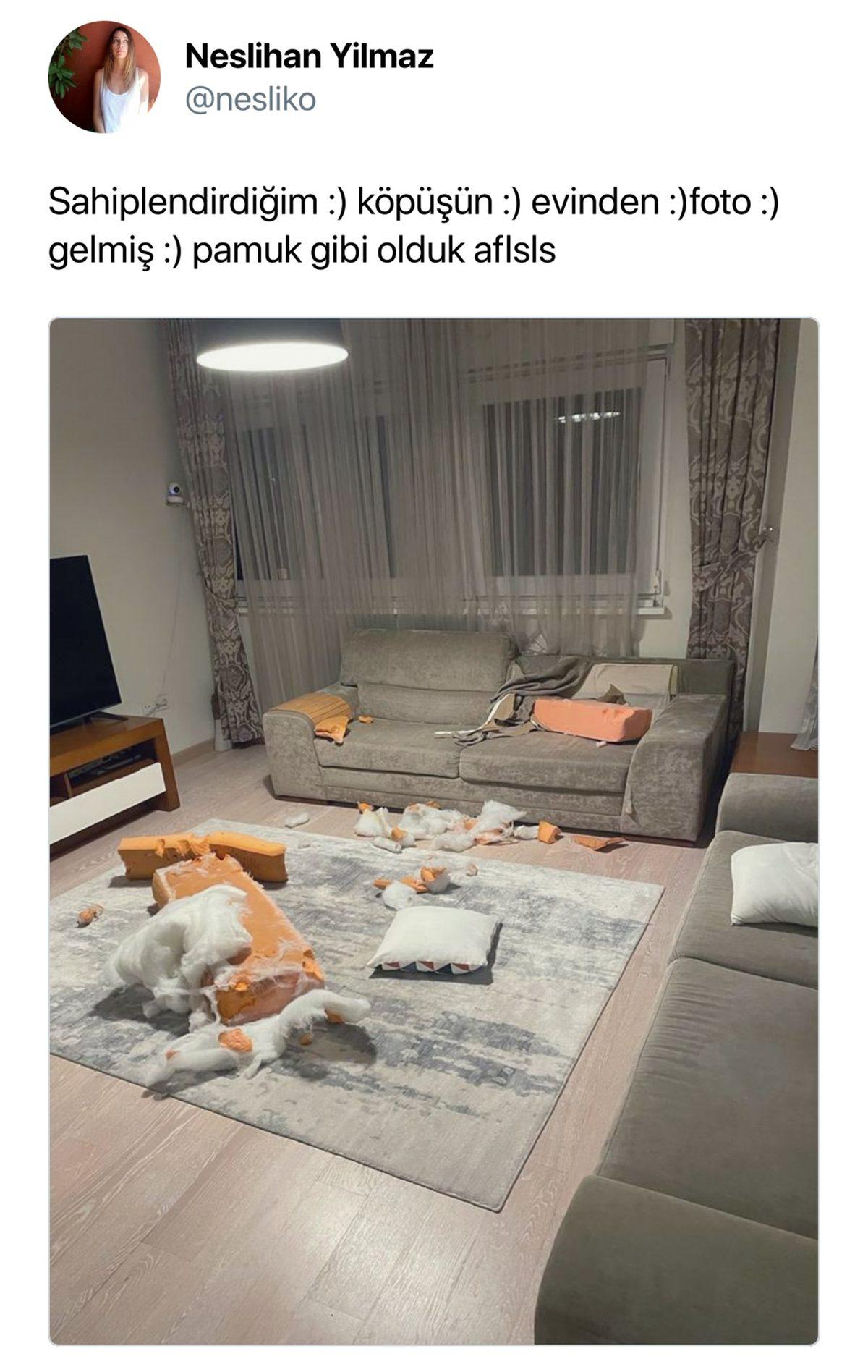 Canı Sıkılanlar Buraya: Bu Haftanın Gözden Kaçırılmaması Gereken En Komik 23 Tweet’i