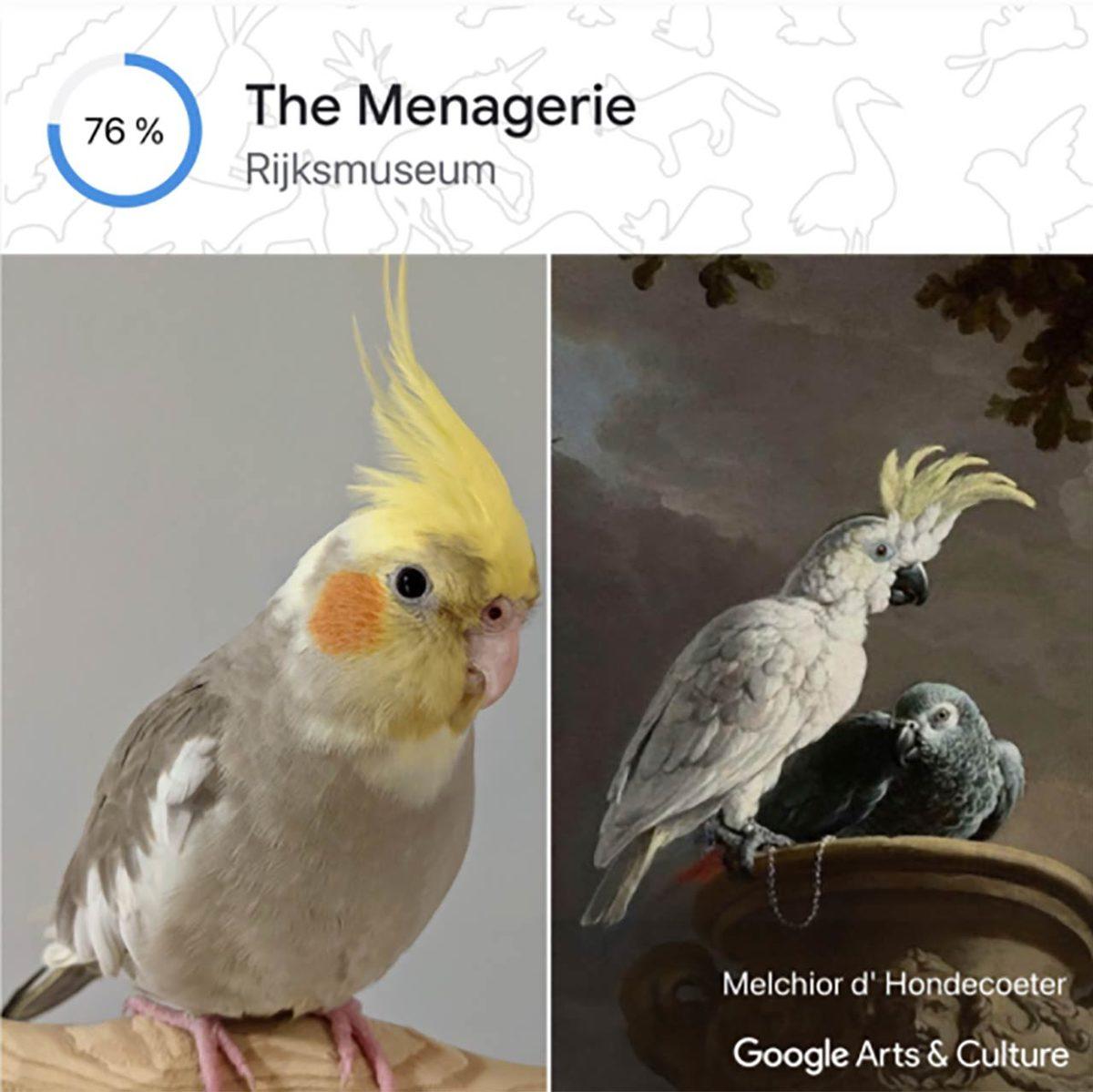 Google’ın Yeni Aracı Pet Portraits, Evcil Hayvanınızın Fotoğrafını Ona En Çok Benzeyen Sanat Eseri ile Eşleştiriyor