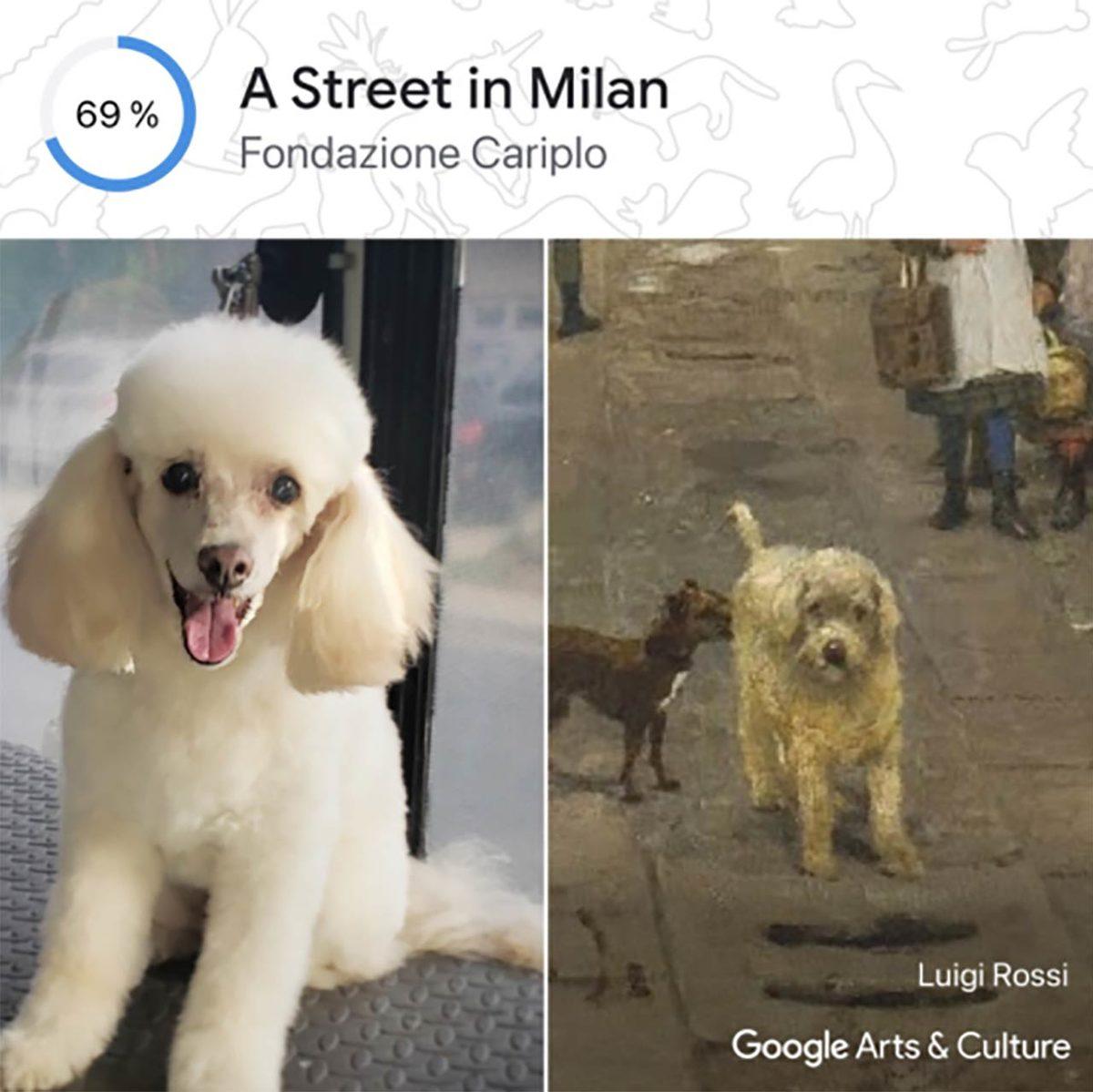 Google’ın Yeni Aracı Pet Portraits, Evcil Hayvanınızın Fotoğrafını Ona En Çok Benzeyen Sanat Eseri ile Eşleştiriyor