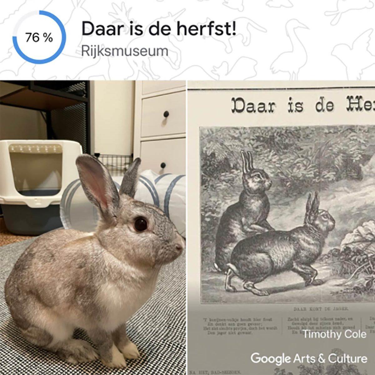 Google’ın Yeni Aracı Pet Portraits, Evcil Hayvanınızın Fotoğrafını Ona En Çok Benzeyen Sanat Eseri ile Eşleştiriyor