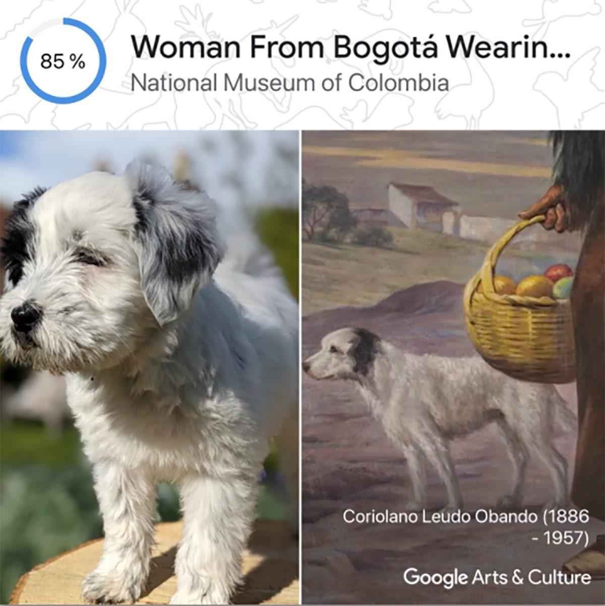 Google’ın Yeni Aracı Pet Portraits, Evcil Hayvanınızın Fotoğrafını Ona En Çok Benzeyen Sanat Eseri ile Eşleştiriyor