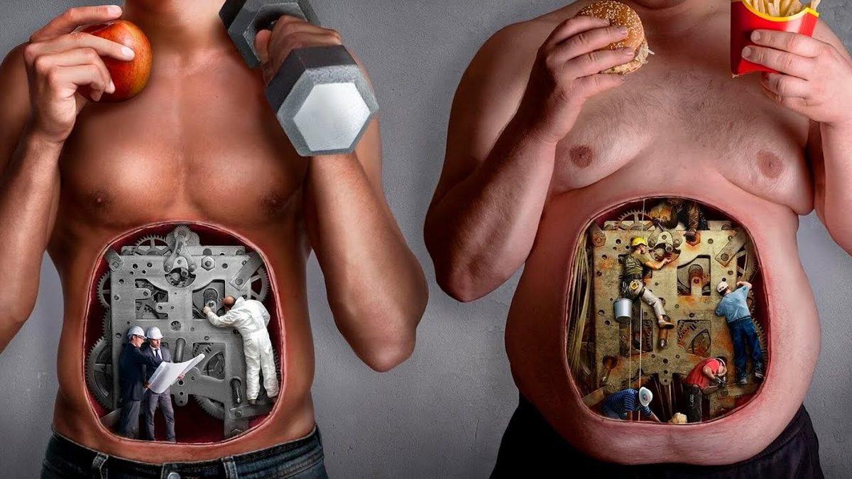 Aslında Hiçbir Şey Yapmıyorken Bile Oturduğumuz Yerden Kalori Harcıyoruz: ’Bazal Metabolizma’ Nedir, Hızı Nasıl Hesaplanır?