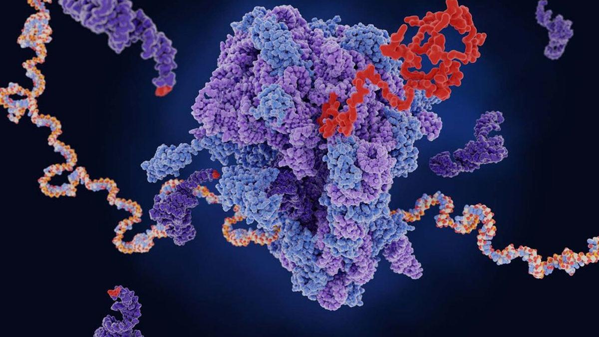 Deprem Sebebiyle Kaçırmış Olabileceğiniz Önemli Gelişmelerin Özeti