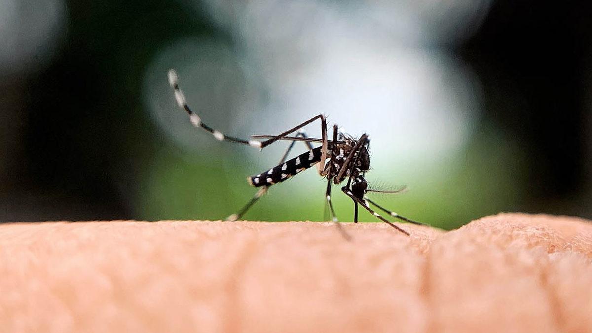 Deprem Sebebiyle Kaçırmış Olabileceğiniz Önemli Gelişmelerin Özeti