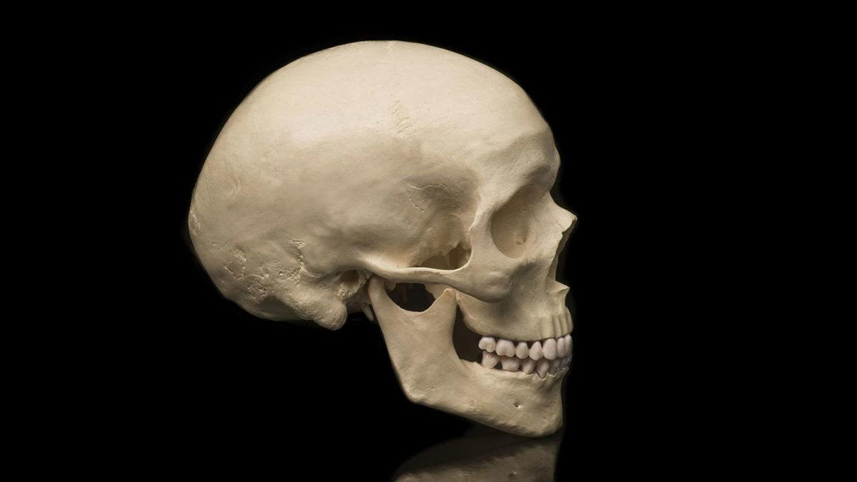 Deprem Sebebiyle Kaçırmış Olabileceğiniz Önemli Gelişmelerin Özeti