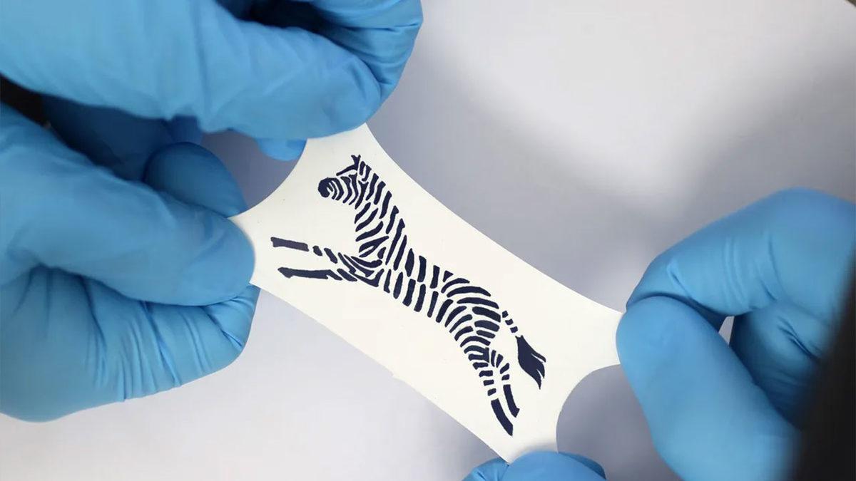 Deprem Sebebiyle Kaçırmış Olabileceğiniz Önemli Gelişmelerin Özeti