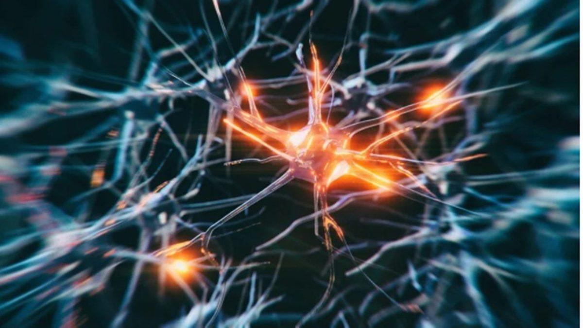 Bu İstatistiği Asla ’Unutmayın’: Aramızda Sinsice Gezen Bu Ölümcül Hastalık Dünyada En Sık Türkiye’de Görülüyor