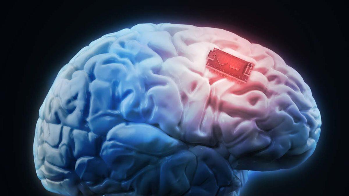 Elon Musk’ın Beyne Çip Yerleştirme Projesinin İnsanlı Testler İçin Onay Alamadığı Ortaya Çıktı