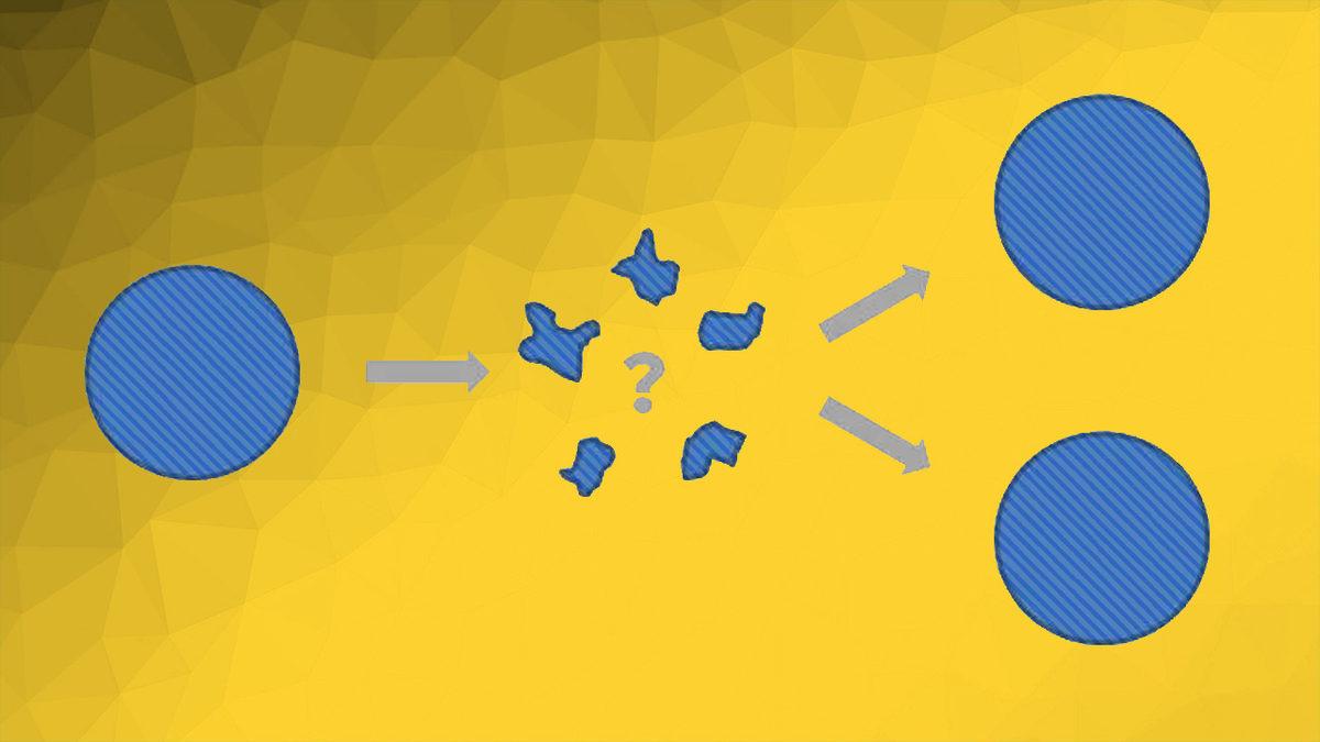 İnternette Karşınıza Çıktığında 