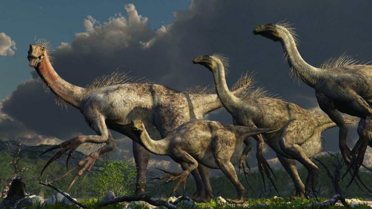 Bazılarını Jurassic Park’ta Bile Görmediğiniz Birbirinden İlginç Dinozor Türleri: Torunları Hala Hayatta!