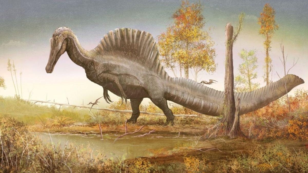 Bazılarını Jurassic Park’ta Bile Görmediğiniz Birbirinden İlginç Dinozor Türleri: Torunları Hala Hayatta!