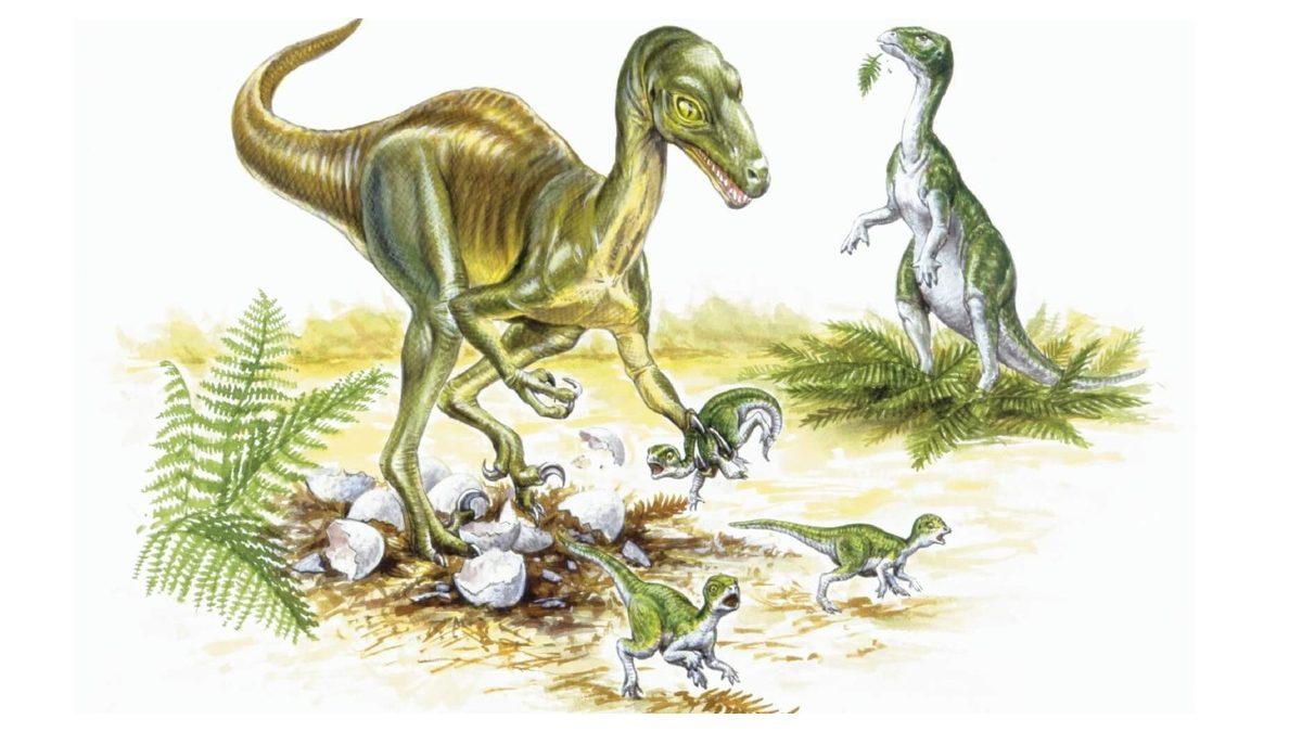 Bazılarını Jurassic Park’ta Bile Görmediğiniz Birbirinden İlginç Dinozor Türleri: Torunları Hala Hayatta!