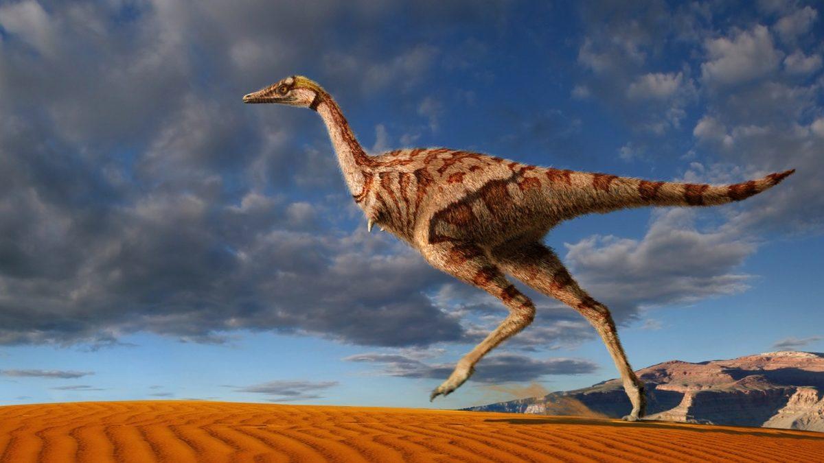 Bazılarını Jurassic Park’ta Bile Görmediğiniz Birbirinden İlginç Dinozor Türleri: Torunları Hala Hayatta!