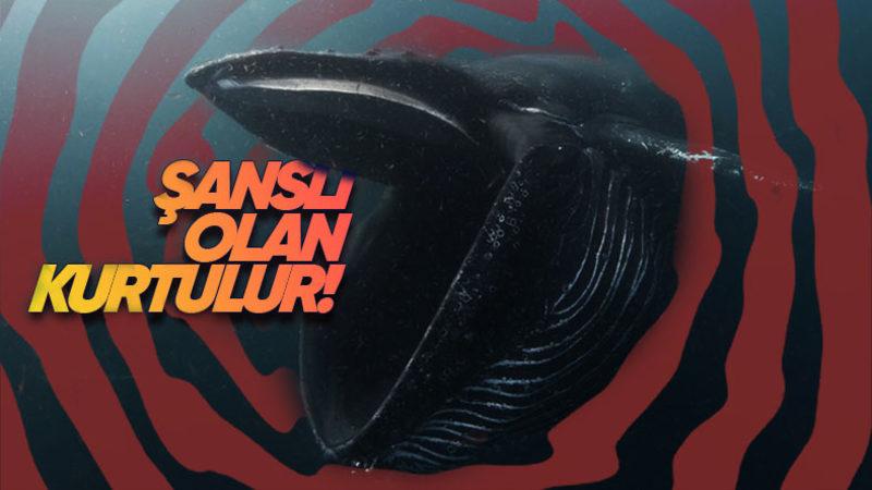 Bir Balina Tarafından Yutulursanız Ne Kadar Süre Hayatta Kalırsınız?