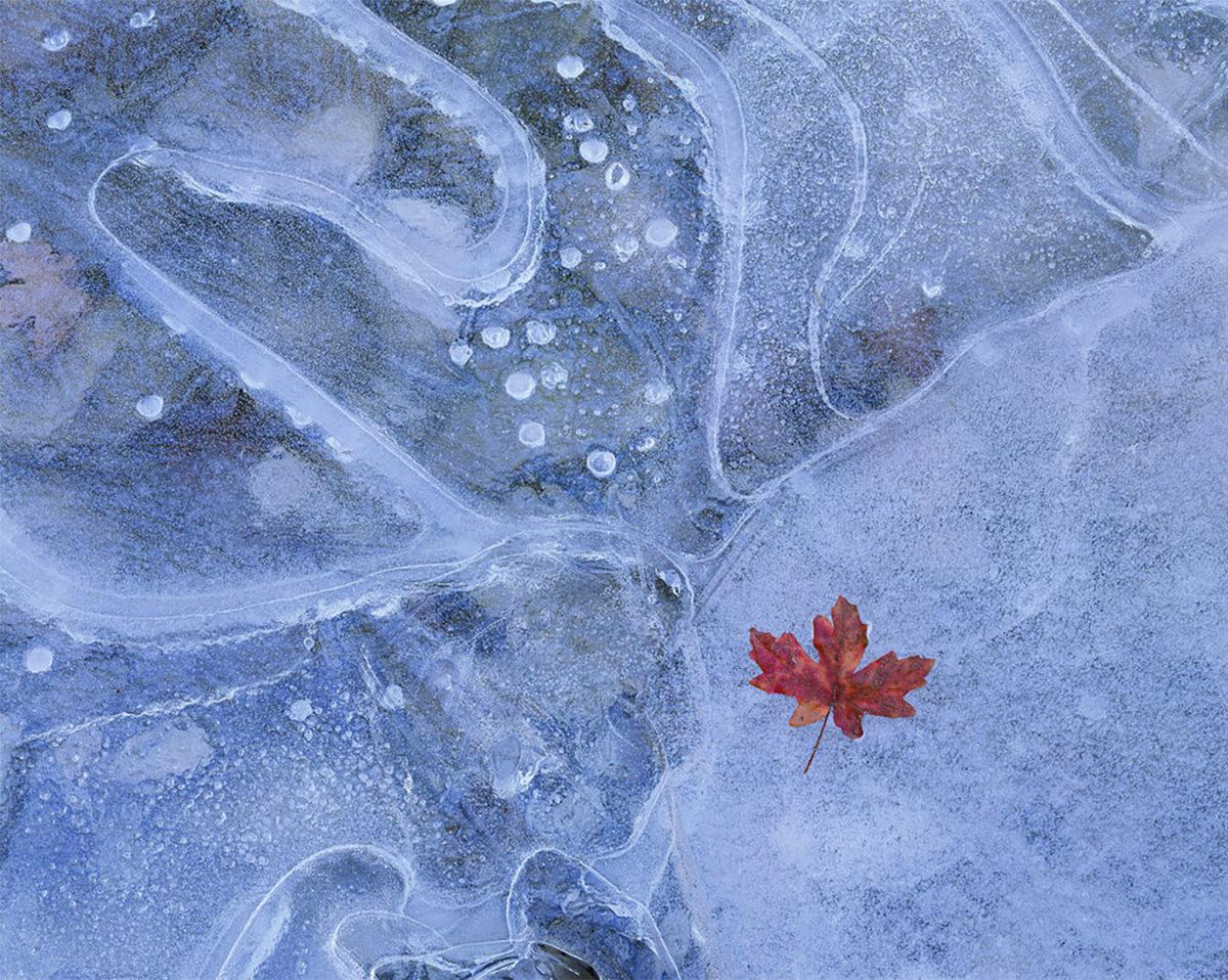 Burada Photoshop Yok: 2021’in En İyi Doğa Manzarası Fotoğrafları Belli Oldu