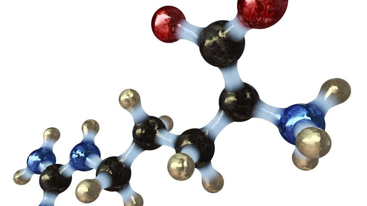 Evrimin, Daha Tek Bir Canlı Bile Yokken Var Olduğu Kanıtlandı