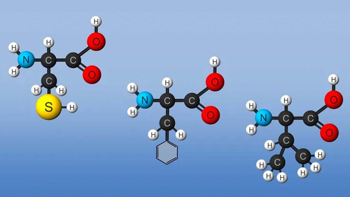 Evrimin, Daha Tek Bir Canlı Bile Yokken Var Olduğu Kanıtlandı