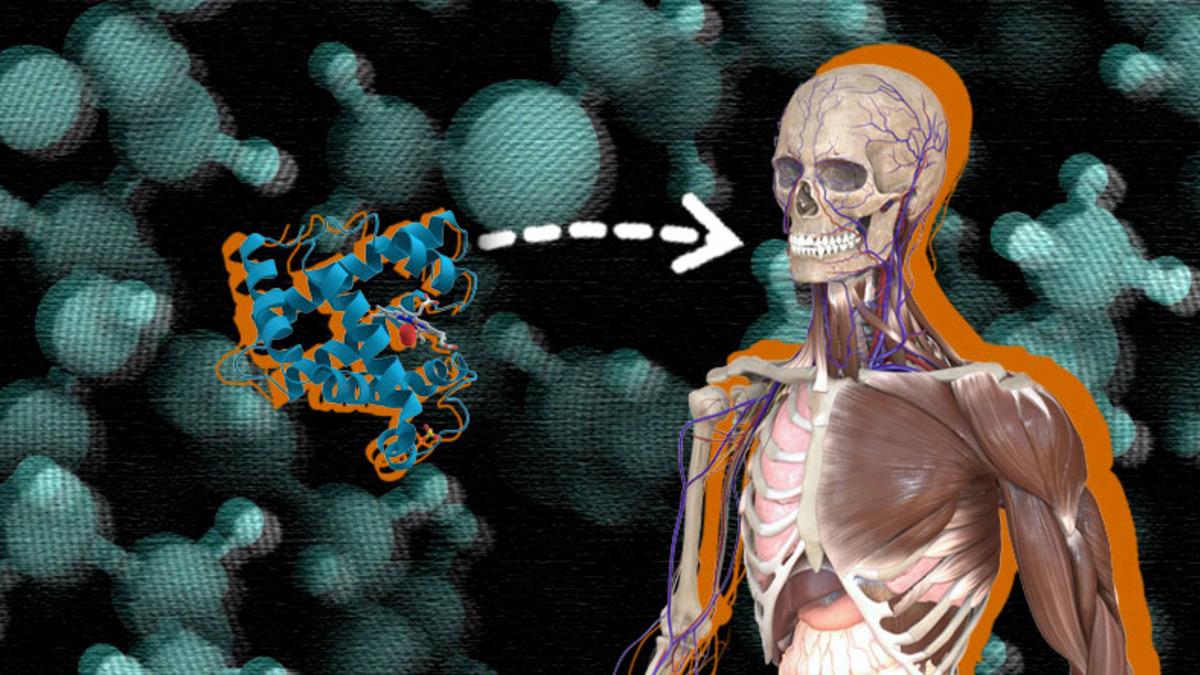 Evrimin, Daha Tek Bir Canlı Bile Yokken Var Olduğu Kanıtlandı
