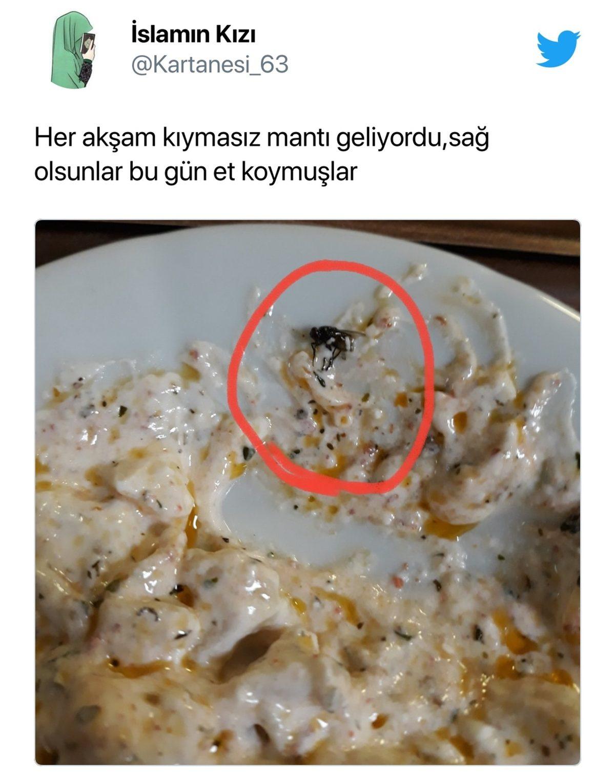 Öğrenciler Sosyal Medyada Paylaşıyor: KYK Yurtlarındaki Yemeklerden Çıktığı Söylenen İğrenç Şeylere İnanamayacaksınız