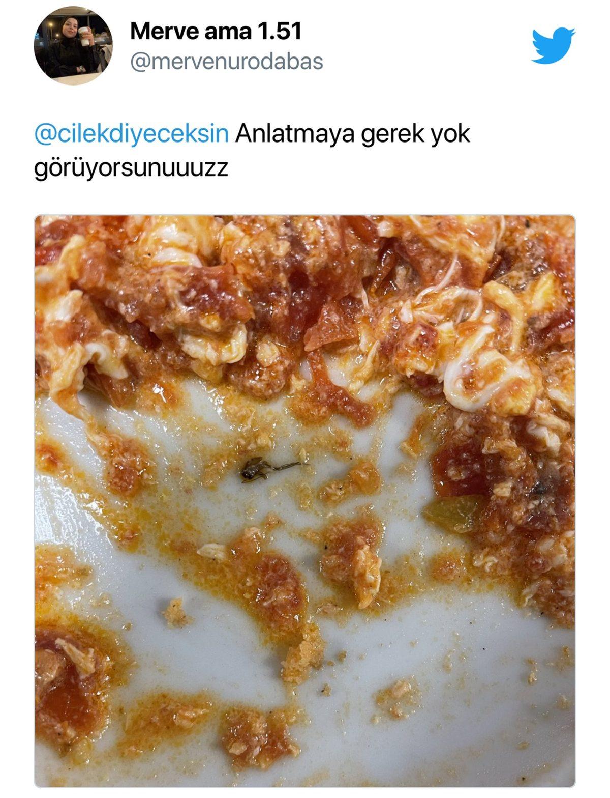 Öğrenciler Sosyal Medyada Paylaşıyor: KYK Yurtlarındaki Yemeklerden Çıktığı Söylenen İğrenç Şeylere İnanamayacaksınız