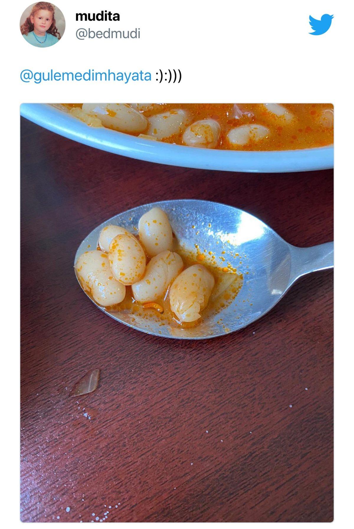 Öğrenciler Sosyal Medyada Paylaşıyor: KYK Yurtlarındaki Yemeklerden Çıktığı Söylenen İğrenç Şeylere İnanamayacaksınız