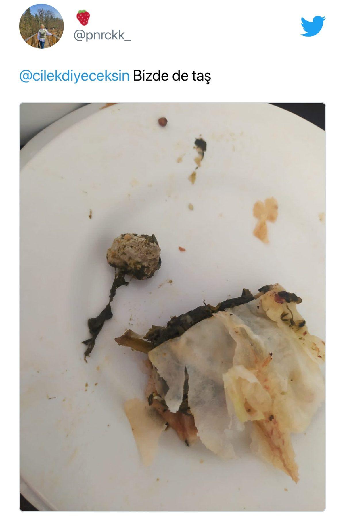 Öğrenciler Sosyal Medyada Paylaşıyor: KYK Yurtlarındaki Yemeklerden Çıktığı Söylenen İğrenç Şeylere İnanamayacaksınız