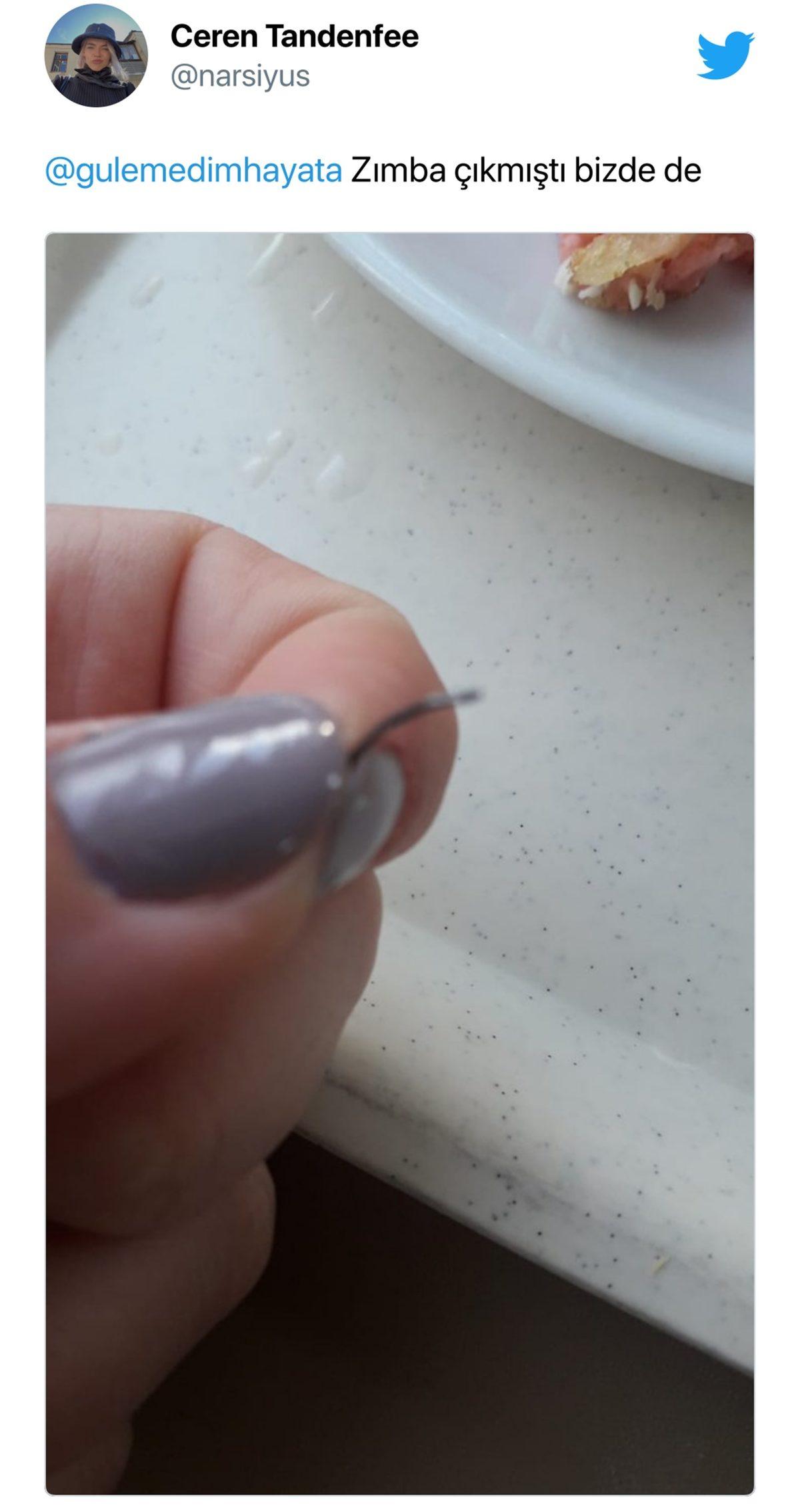 Öğrenciler Sosyal Medyada Paylaşıyor: KYK Yurtlarındaki Yemeklerden Çıktığı Söylenen İğrenç Şeylere İnanamayacaksınız