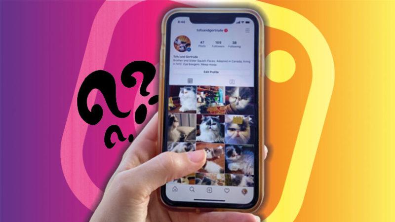 Instagram Yavaşladı Diyorsan Gel! iOS ve Android İçin ‘Instagram Önbellek Temizleme’ İşlemi Nasıl Yapılır? (Adım Adım Anlattık)