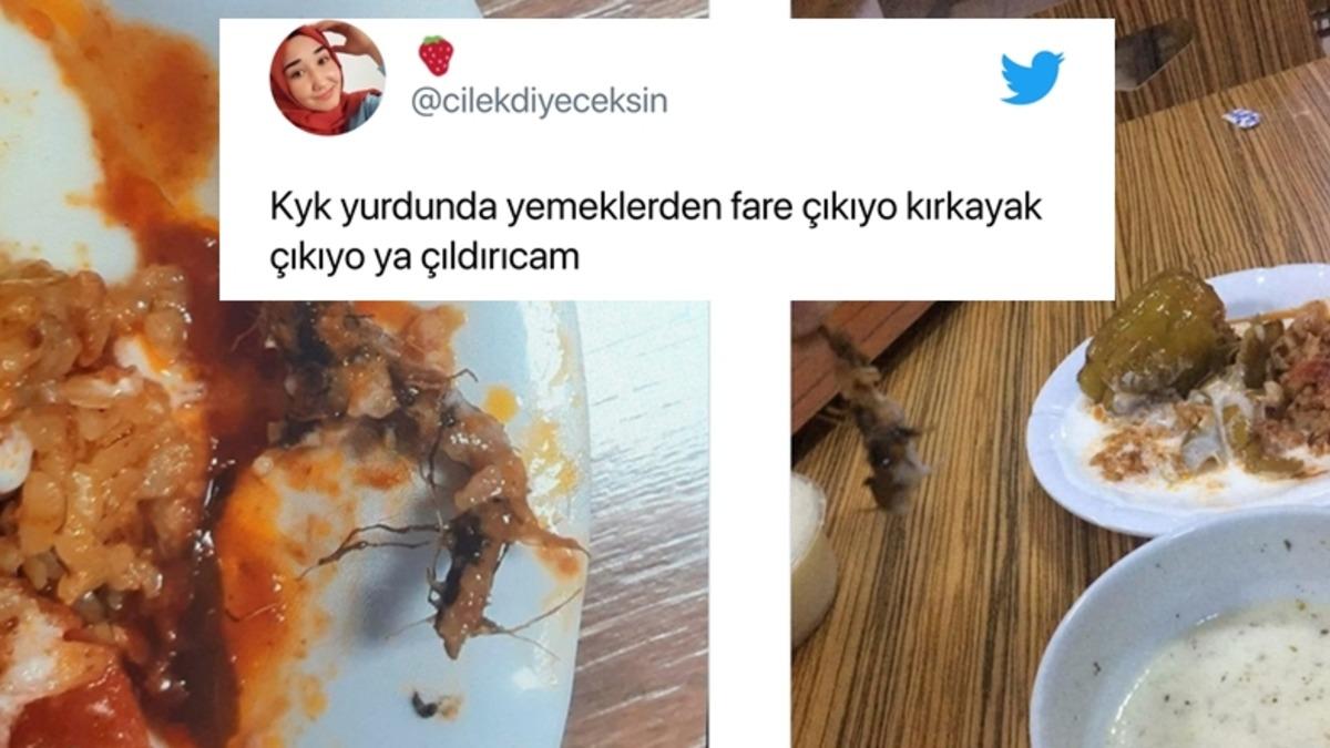 Öğrenciler Sosyal Medyada Paylaşıyor: KYK Yurtlarındaki Yemeklerden Çıktığı Söylenen İğrenç Şeylere İnanamayacaksınız