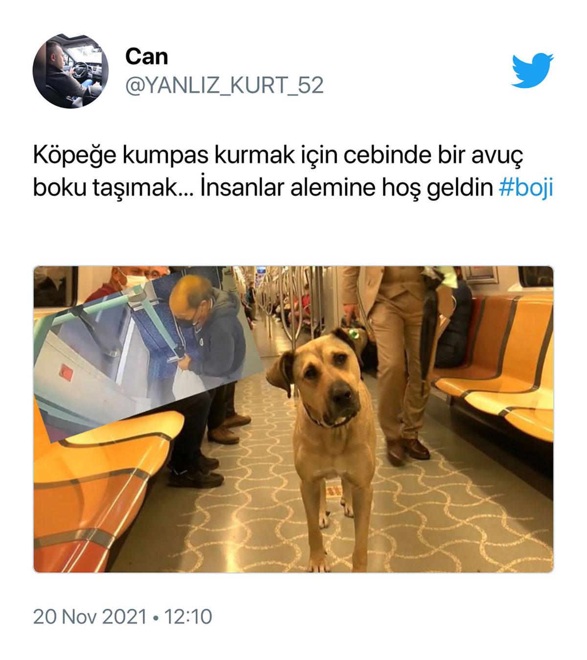 İBB’nin Fenomen Köpeği Boji’nin Tramvaya Pislediği İddiası Yalanlandı: İnsan Eliyle Bırakıldı
