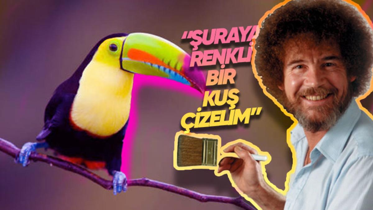 Bir Ressamın Eseri Gibi Görünen Tropik Kuşlar Diğer Kuşlara Kıyasla Neden Daha Renklidir?