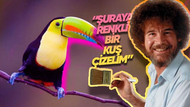 Bir Ressamın Eseri Gibi Görünen Tropik Kuşlar Diğer Kuşlara Kıyasla Neden Daha Renklidir?