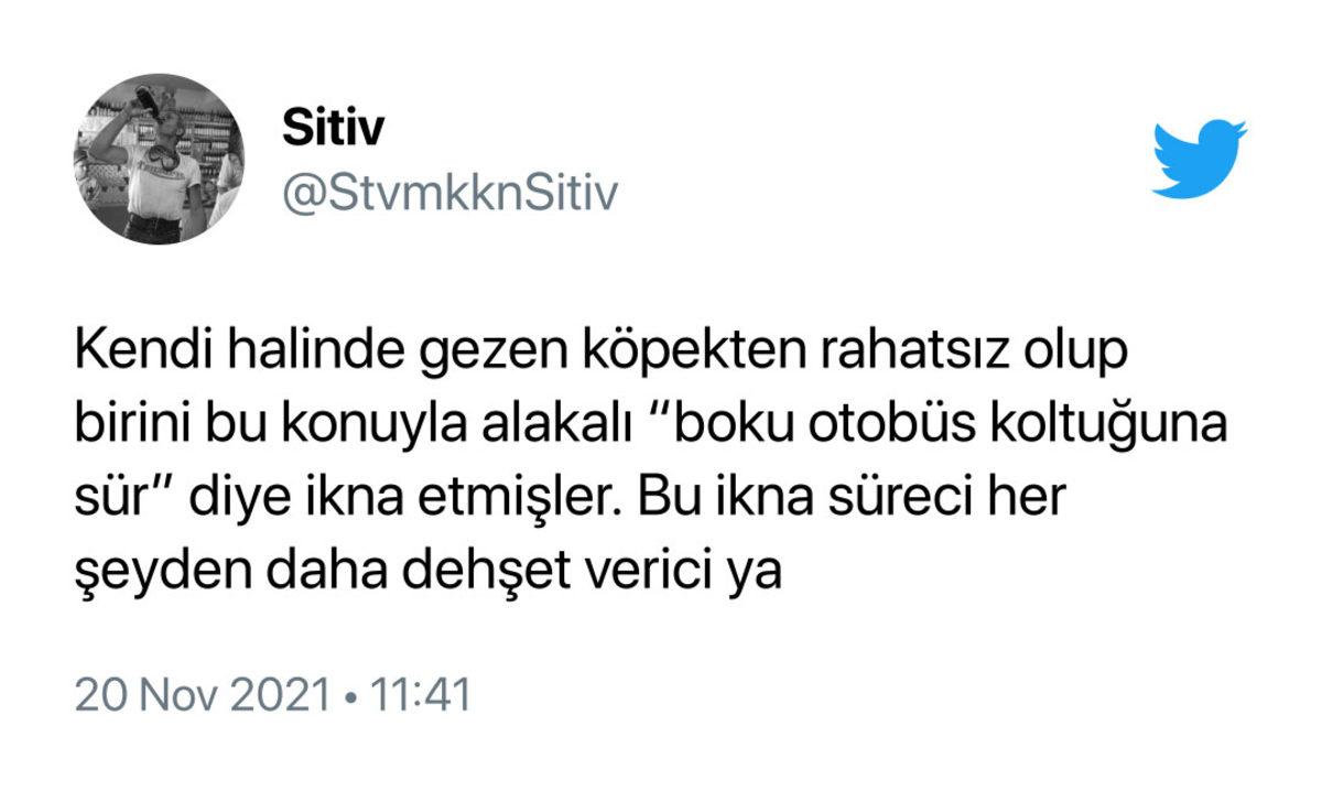 İBB’nin Fenomen Köpeği Boji’nin Tramvaya Pislediği İddiası Yalanlandı: İnsan Eliyle Bırakıldı