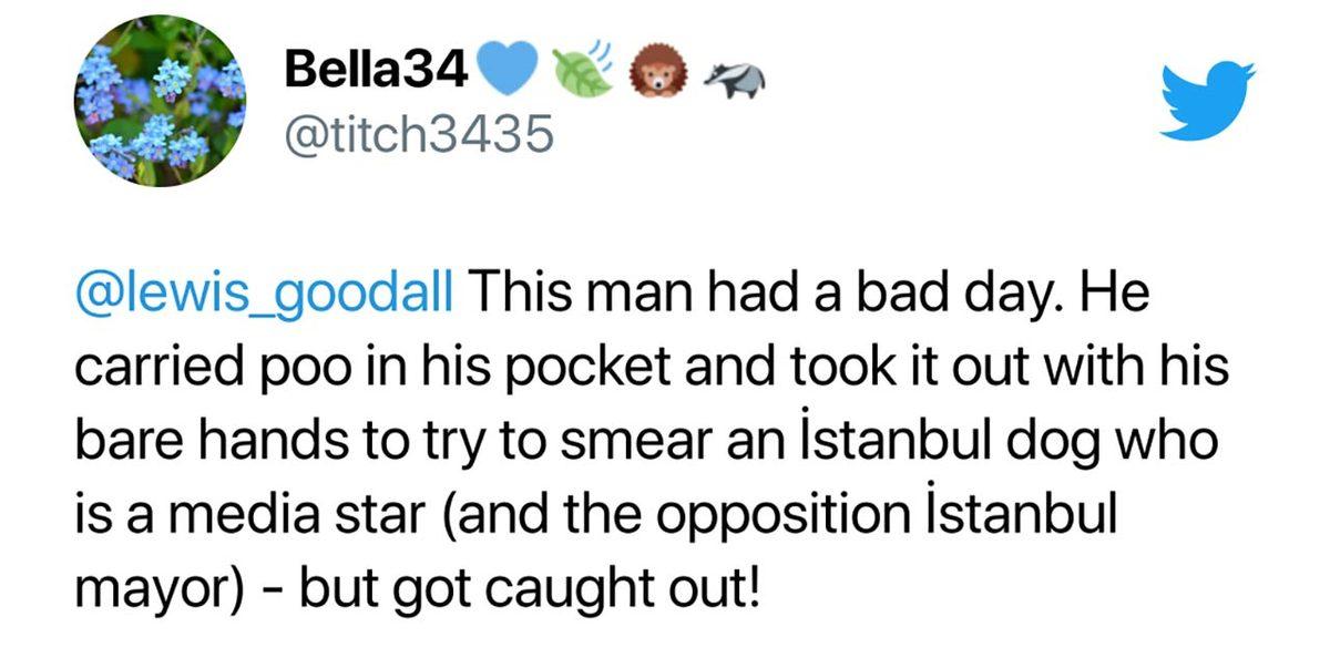 Boji’nin Tramvaya Pislediğini Yalanlayan Video Yabancıların Kulağına Kadar Gitti: İşte Gelen Tepkiler