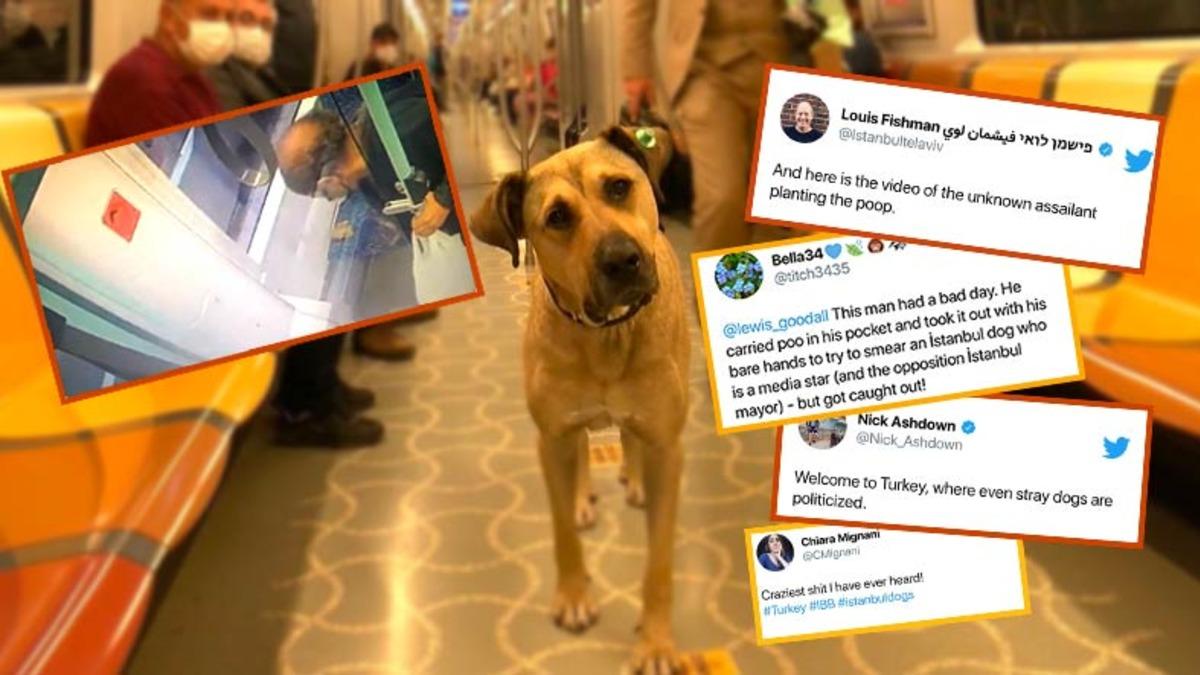 Boji’nin Tramvaya Pislediğini Yalanlayan Video Yabancıların Kulağına Kadar Gitti: İşte Gelen Tepkiler