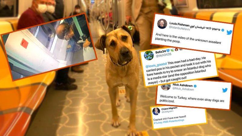 Boji’nin Tramvaya Pislediğini Yalanlayan Video Yabancıların Kulağına Kadar Gitti: İşte Gelen Tepkiler