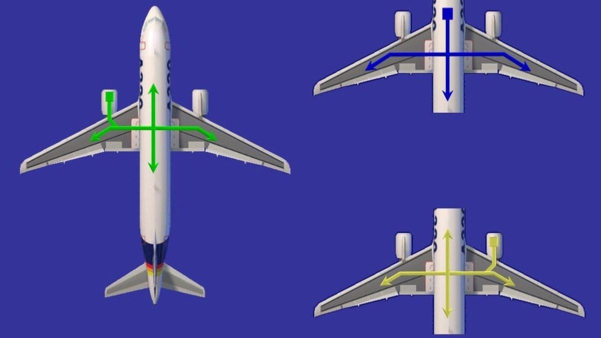 Uçaklarda Hiç Köpek Olmamasına Rağmen Duyduğumuz 