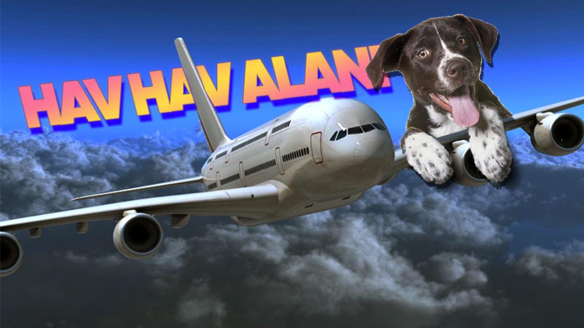 Uçaklarda Hiç Köpek Olmamasına Rağmen Duyduğumuz "Havlama" Sesi Aslında Nereden Geliyor?