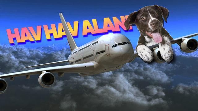 Uçaklarda Hiç Köpek Olmamasına Rağmen Duyduğumuz "Havlama" Sesi Aslında Nereden Geliyor?