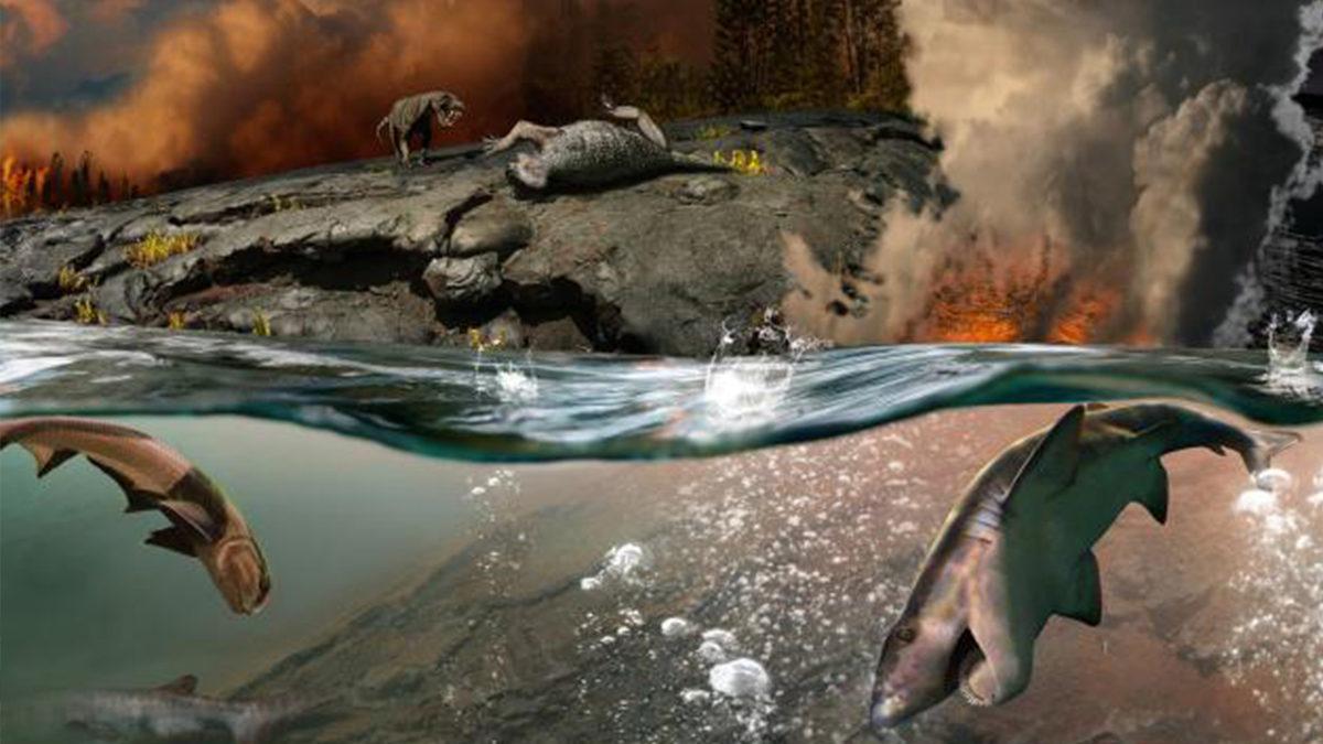 Tarihin En Büyük Kitlesel Yok Oluşunun Yeni Bir Sebebi Ortaya Çıktı