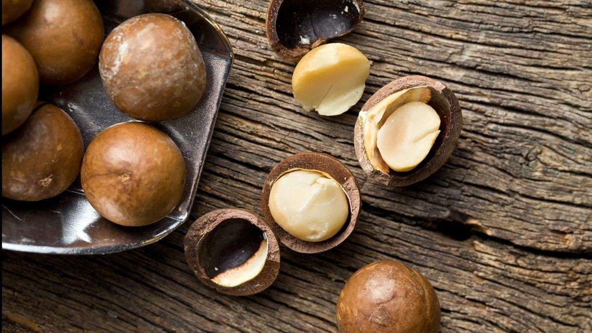 Dostunuzu Yavaş Yavaş Öldürmek İstemiyorsanız Kedi ve Köpeğinize Kesinlikle Vermemeniz Gereken 13 Yiyecek