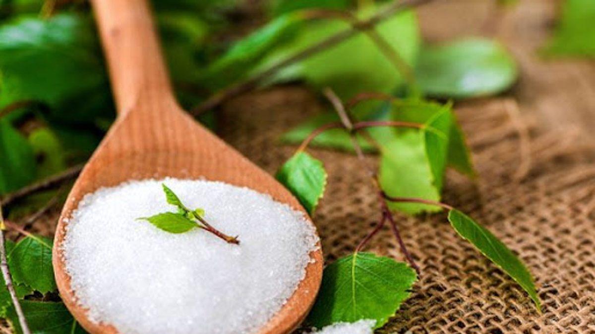 Dostunuzu Yavaş Yavaş Öldürmek İstemiyorsanız Kedi ve Köpeğinize Kesinlikle Vermemeniz Gereken 13 Yiyecek